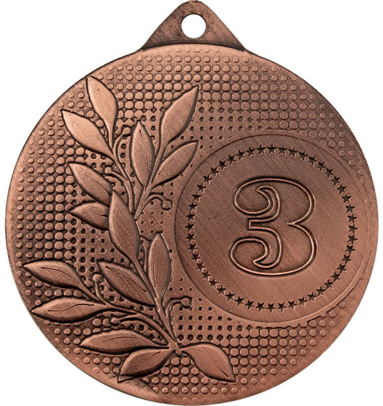 Медаль Вилга 3 место