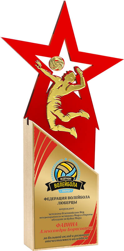 Акриловая награда с сублимационной печатью волейбол
