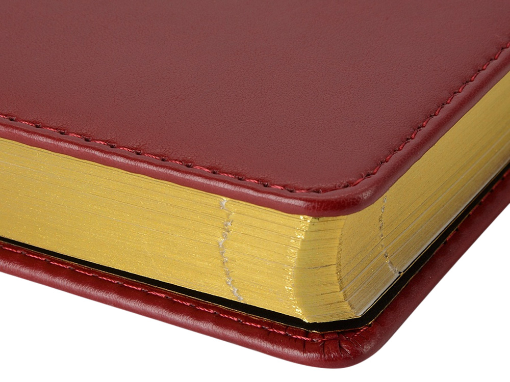 Ежедневник недатированный А5 Parliament, бордовый