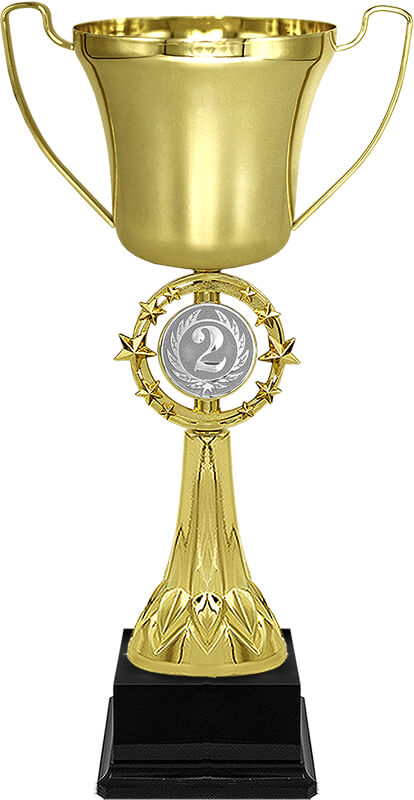 Кубок Паскаль 2 место