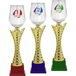 Кубок Акцент 3 место Кубок Акцент 3 место