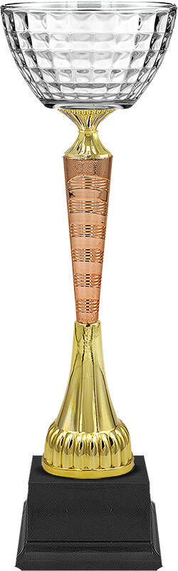 Кубок Мануэла  (под бронзу)