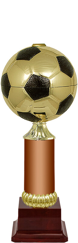 Кубок Хави (под бронзу) Кубок Хави (под бронзу)