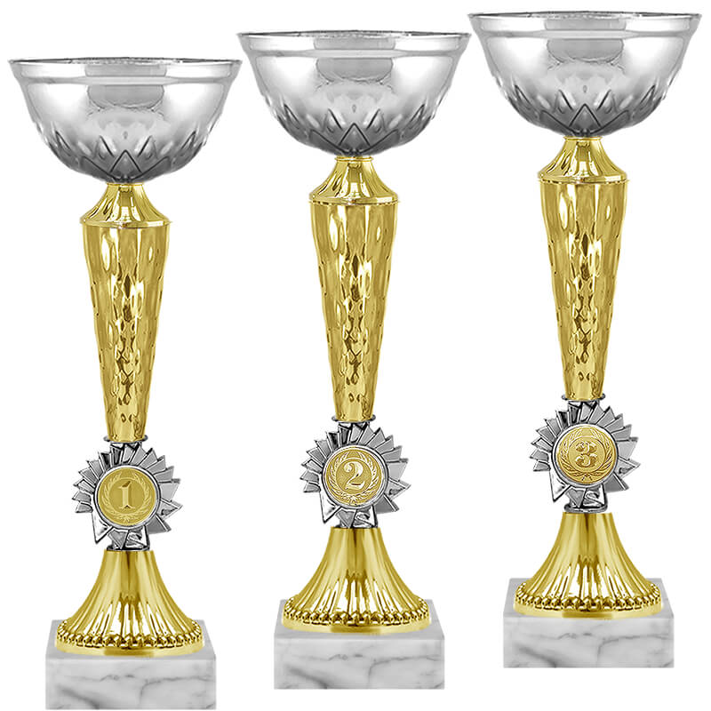 Кубок Гриф 1 место