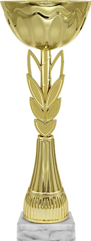 Кубок Ферзь