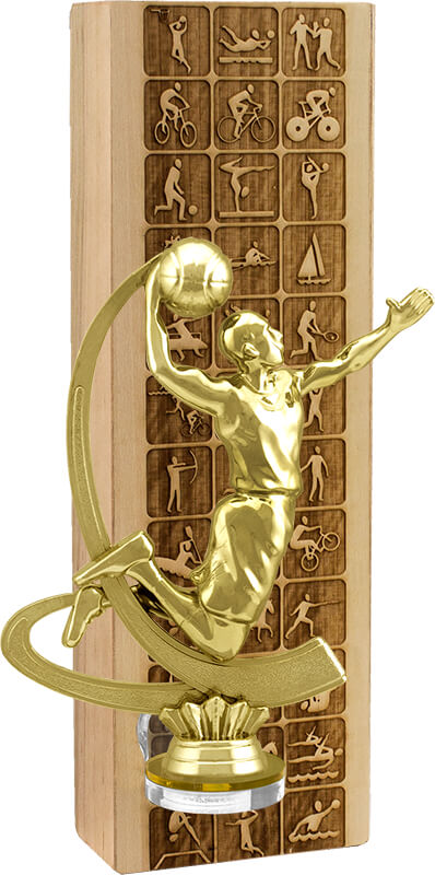 Награда из натурального дерева Баскетбол