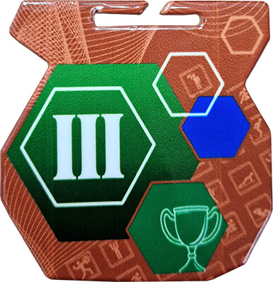 Медаль Архимед III место