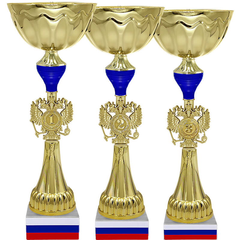 Кубок Бригадир 3 (2 место, синий)