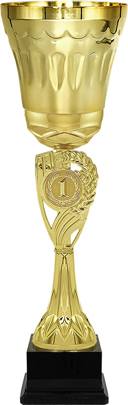 Кубок Эрнест 1 место