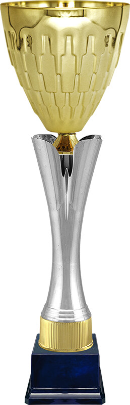 Кубок Цитрон Кубок Цитрон