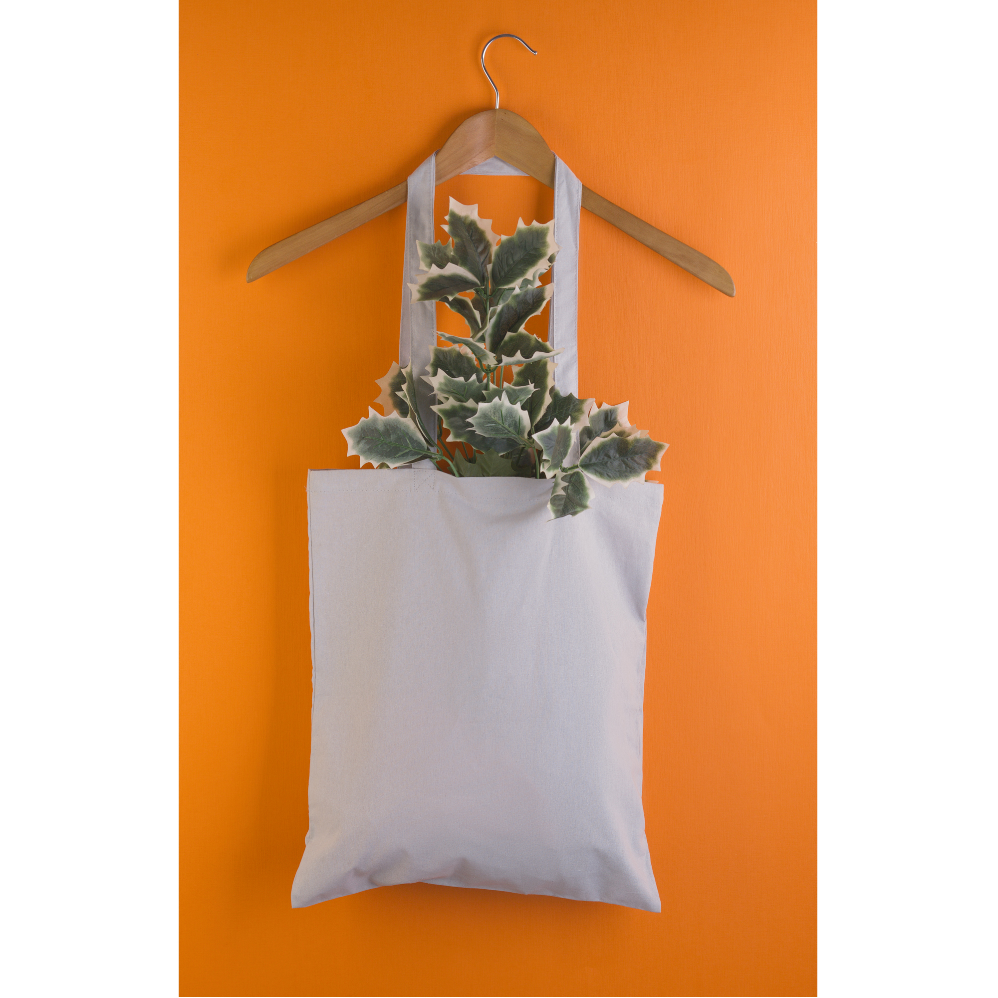 Сумка для покупок "Эко+" Сумка для покупок "Эко+"