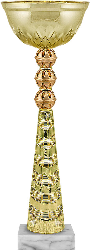 Кубок Винни (под бронзу)