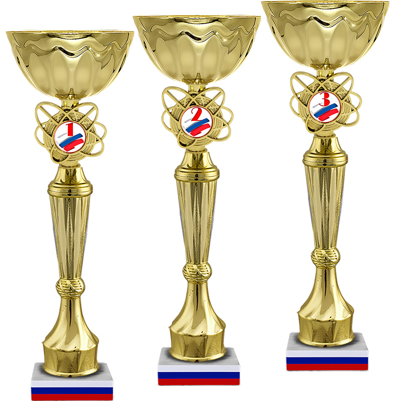 Кубок Данислава 1 место