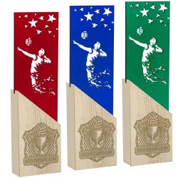 Награда волейбол Награда волейбол