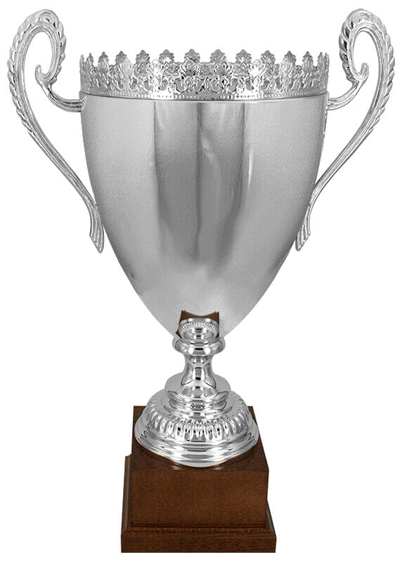 Кубок Лангепас Кубок Лангепас