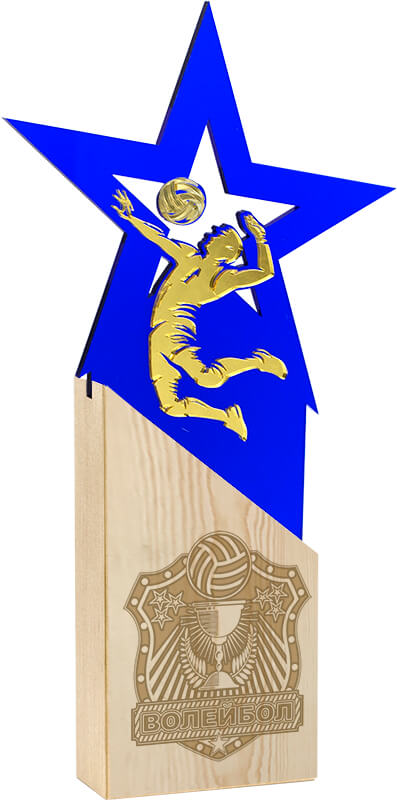 Награда волейбол Награда волейбол