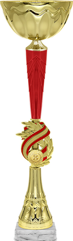 Кубок Стайл 3 место