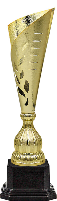 Кубок Хайли