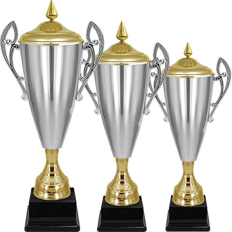 Кубок Владияр