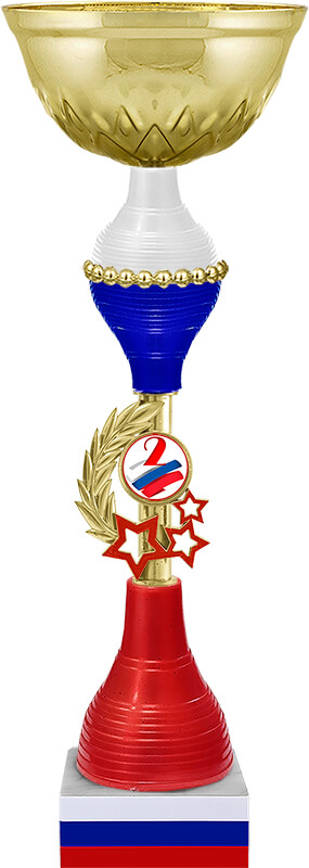 Кубок Нельсон 2 место