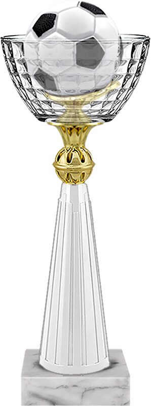 Кубок Марсело