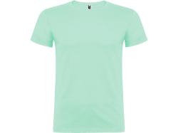 Футболка Beagle мужская, ментоловый