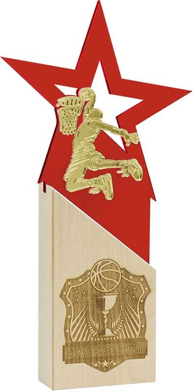 Награда баскетбол