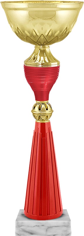 Кубок Юниор