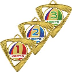 Медаль Шервинта 3 место Медаль Шервинта 3 место