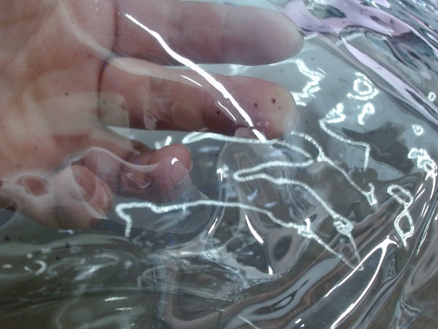 Сумка Frank из прозрачного пластика с регулирующейся лямкой, черный (P) Сумка Frank из прозрачного пластика с регулирующейся лямкой, черный (P)