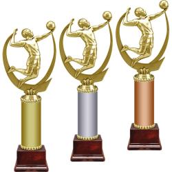 Награда Волейбол Награда Волейбол