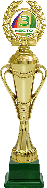 Награда 3 место