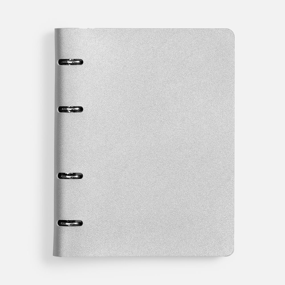 Ежедневник Ringo, недатированный, серебристый