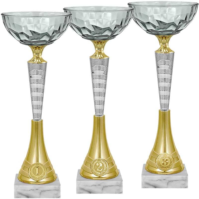 Кубок Лирик 1 место Кубок Лирик 1 место