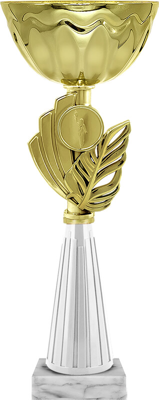 Кубок Мисси