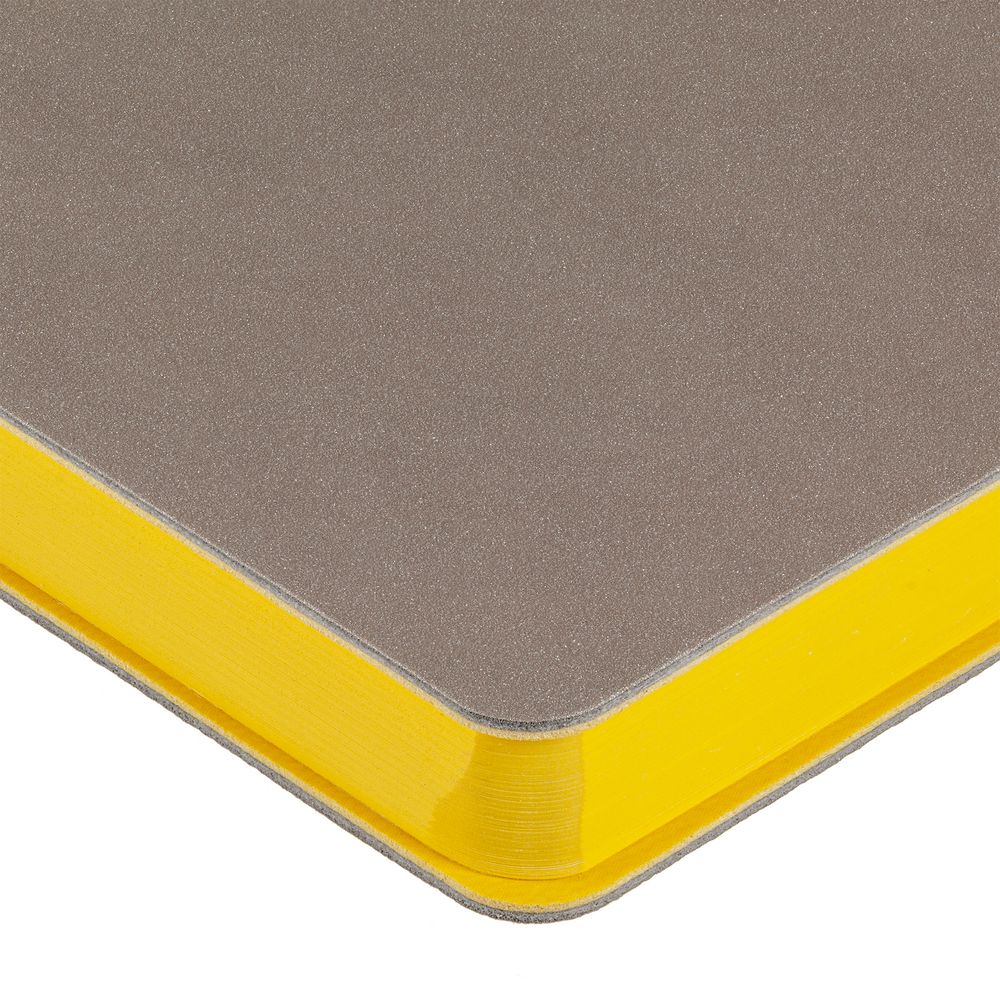 Ежедневник Flexpen, недатированный, серебристо-желтый Ежедневник Flexpen, недатированный, серебристо-желтый