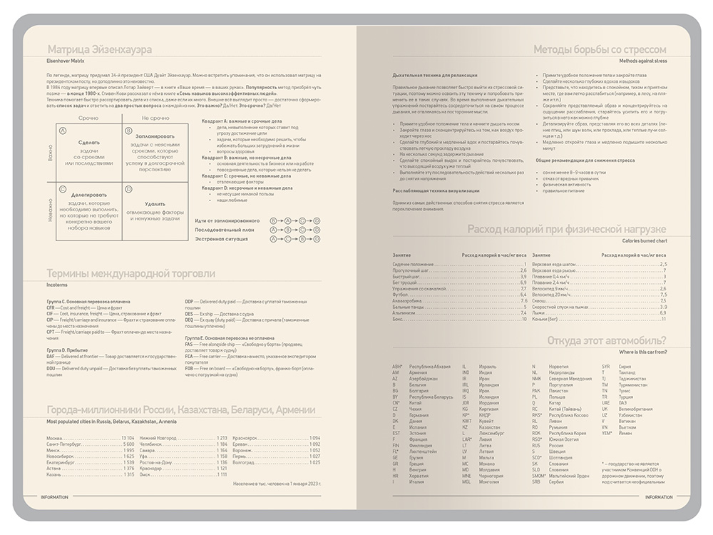 Ежедневник А5 датированный Megapolis Color 2026, серый