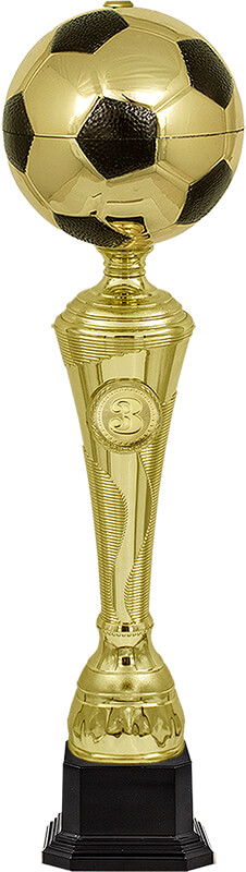 Кубок Фабиан 3 место