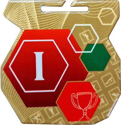 Медаль Архимед I место