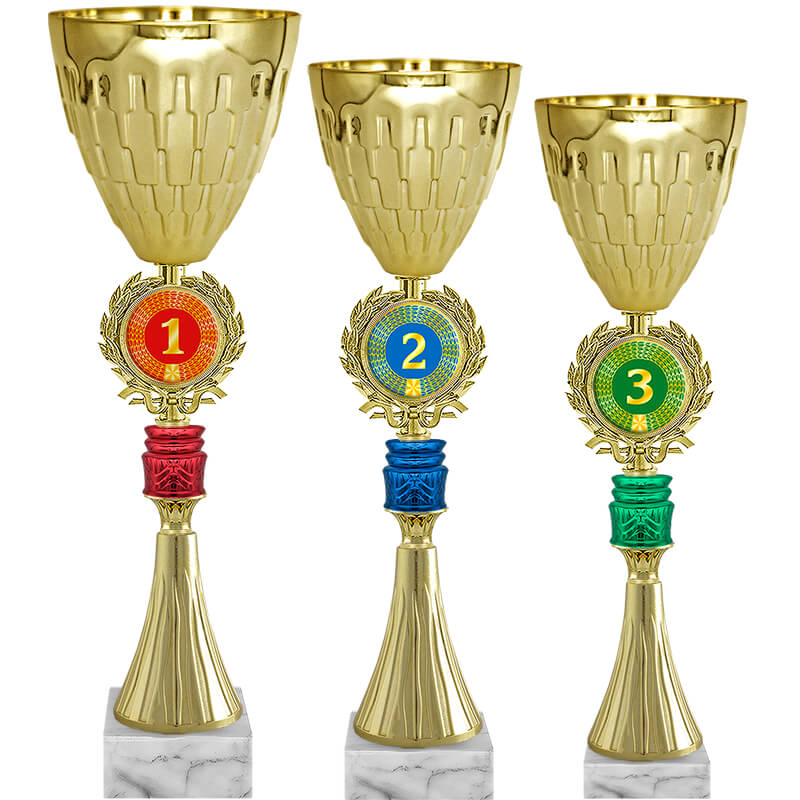 Кубок Радослав 2 место