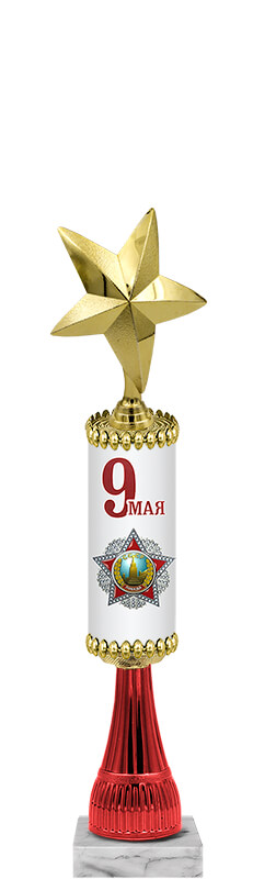 Награда 9 Мая