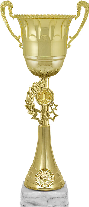 Кубок Ойла 1 место