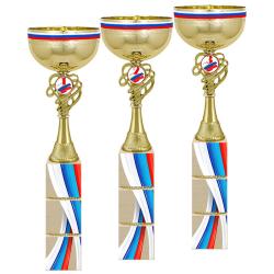 Кубок Премьер 3 место