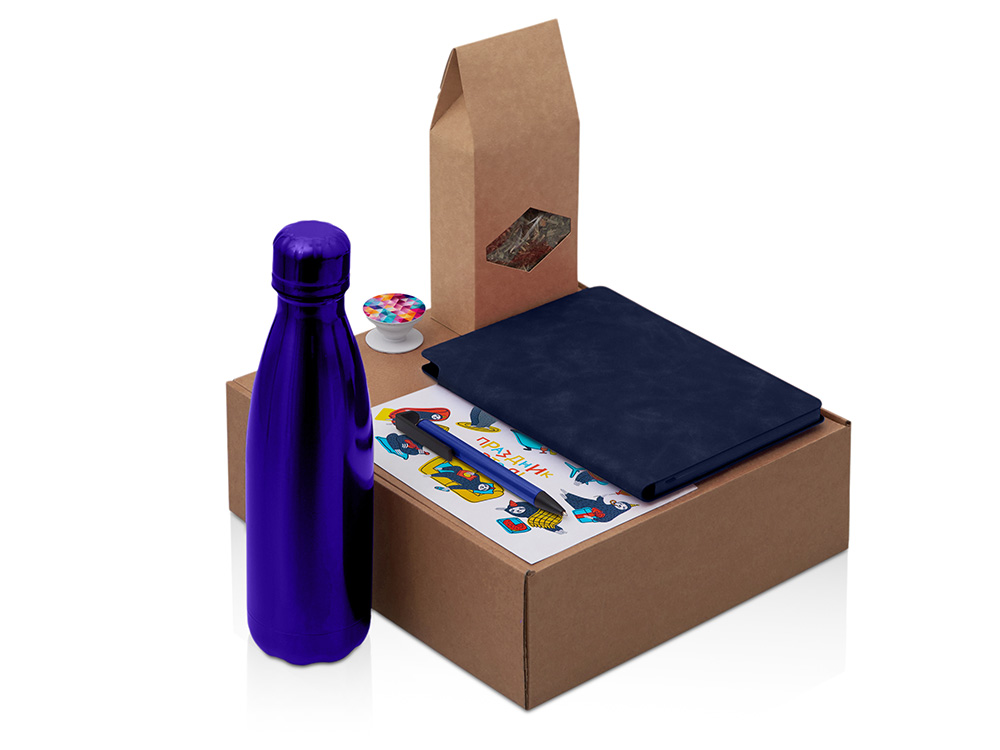 Подарочный набор с термобутылкой, блокнотом, ручкой и чаем, синий