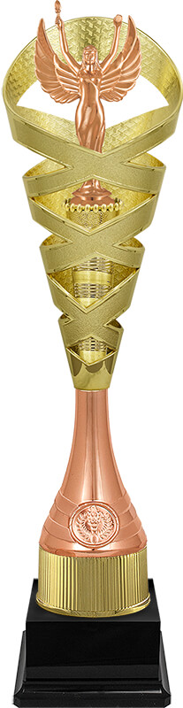 Кубок Химера (под бронзу)