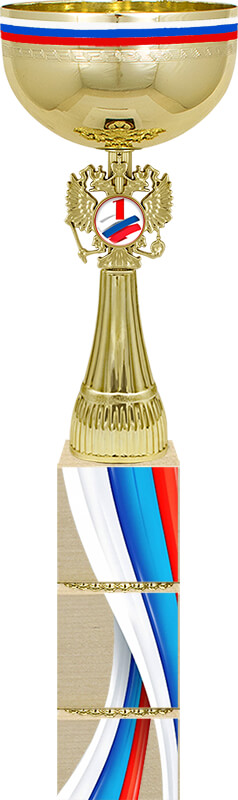 Кубок Премьер 1 место