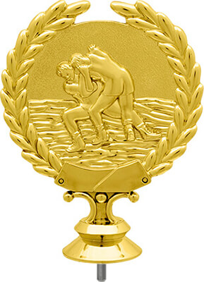 Фигура Борьба