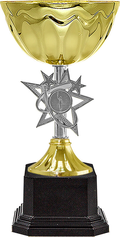 Кубок Айли (под серебро)