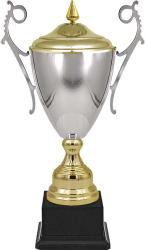 Кубок Самрат (серебро)