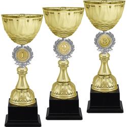 Кубок Чарлик 3 место